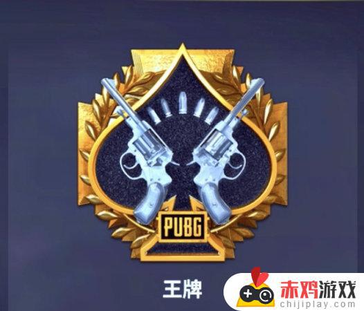 PUBG【金色徽章如何获得】攻略教学