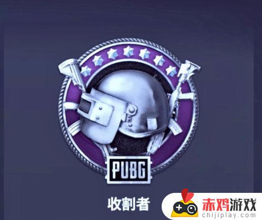 PUBG【金色徽章如何获得】攻略教学