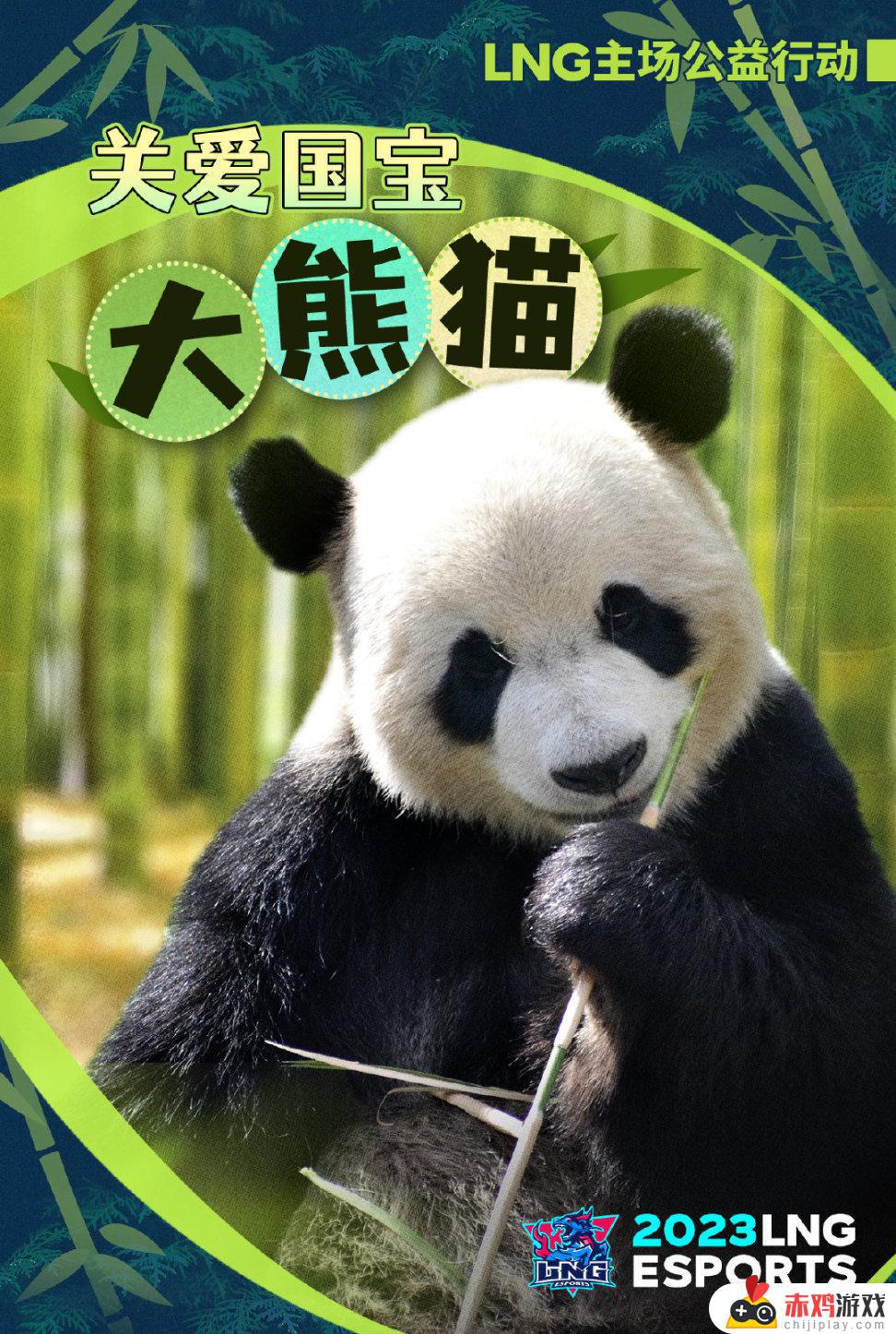 联盟日报:明日LNG门票收益捐赠大熊猫中心;UP无缘季后赛
