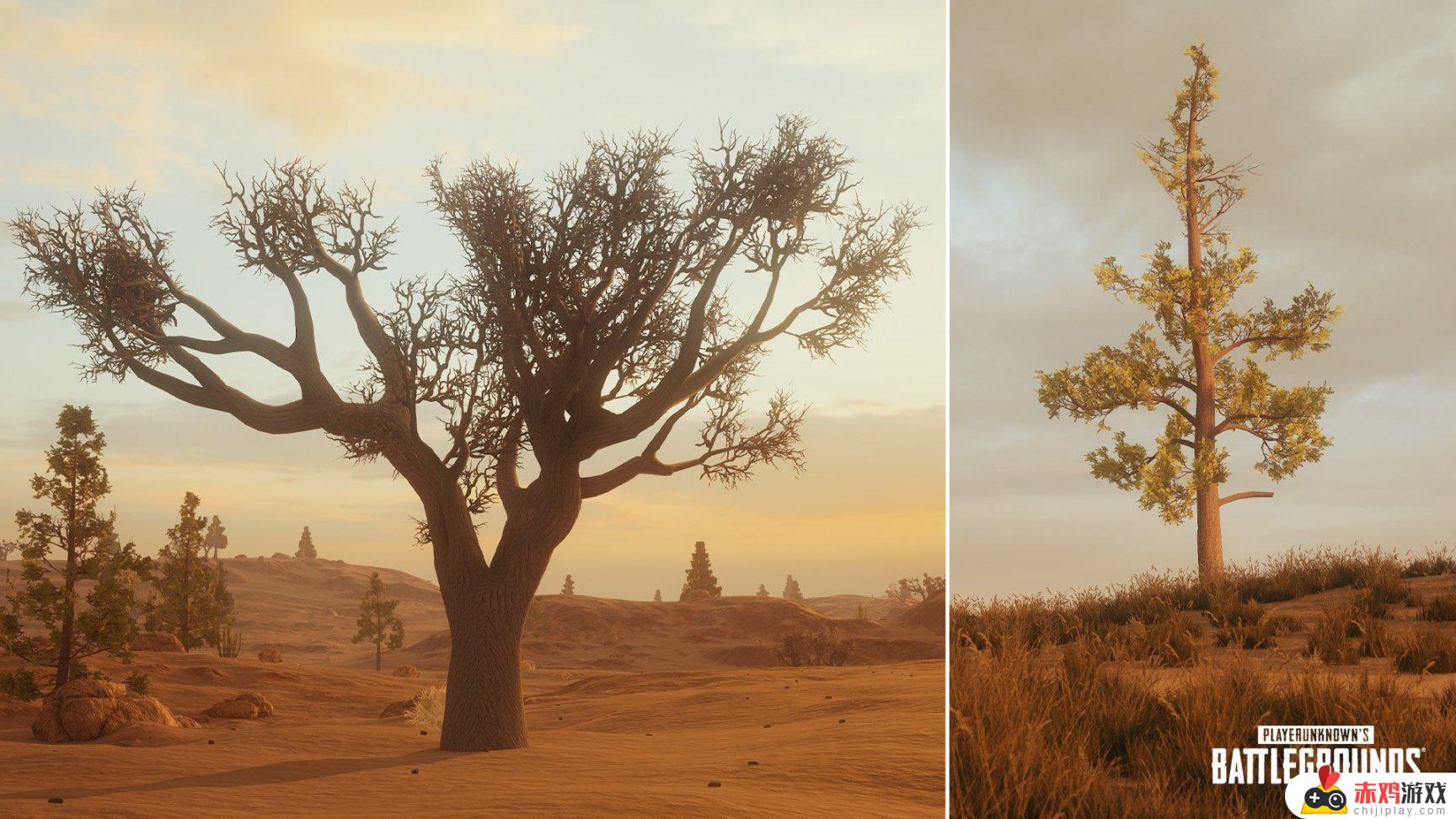 历代米拉玛地图盘点：你最喜欢哪个版本的沙漠？探索最受欢迎的沙漠地图