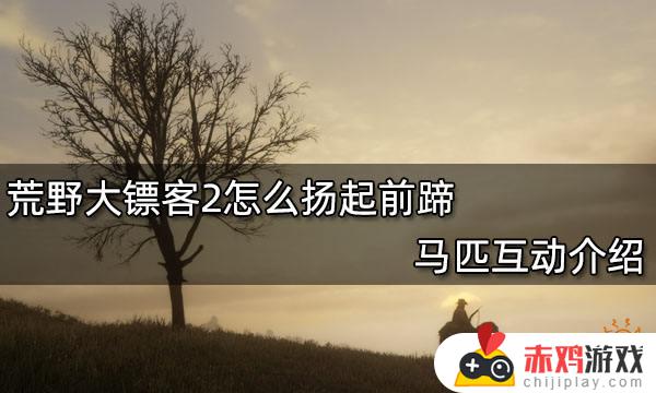 荒野大镖客2扬起前蹄 荒野大镖客2扬起前蹄有什么用