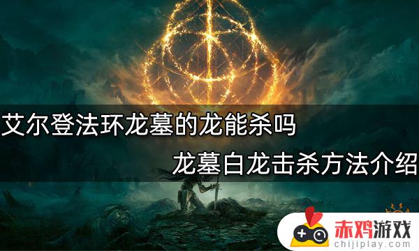 艾尔登法环不会动的龙 艾尔登法环不会动的龙在哪里