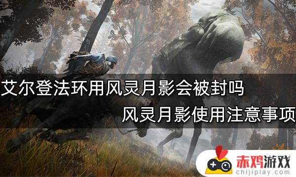 艾尔登法环可以用风灵月影吗 艾尔登法环剑风传奇