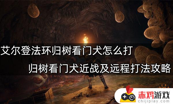 艾尔登法环守护犬 艾尔登法环王之圣防护