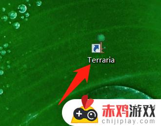 泰拉瑞亚电脑版如何进入中文 泰拉瑞亚电脑版怎么打中文