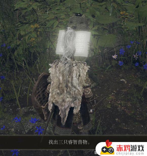 艾尔登法环奥利魔法塔 艾尔登法环奥利缇斯魔法塔怎么进