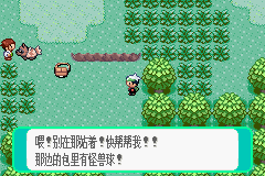 pokemmo手游丰源地区怎么玩