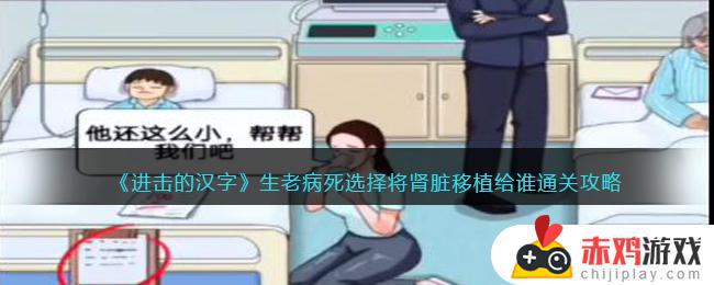 进击的汉字生老病死如何选择肾脏移植