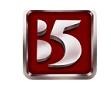 b5对战平台app
