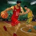篮球3d模拟破解版