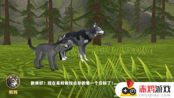动物模拟3d破解版下载