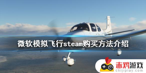 微软模拟飞行在steam怎么搜 《微软模拟飞行2020》steam中文版购买方法