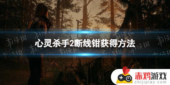 心灵杀手2断线钳获取 《心灵杀手2》断线钳怎么获得